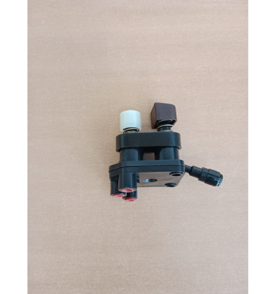 Image sur BOUTON DE POMPE
